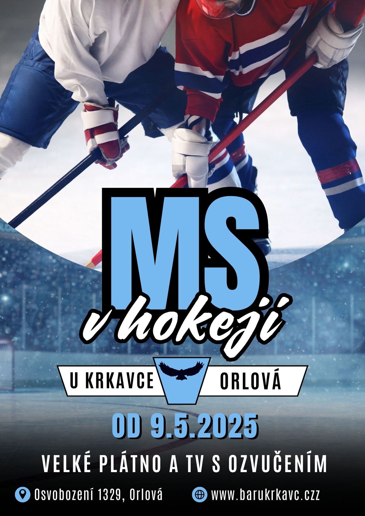 🆗 Zápasy MS na plátně U Krkavce !