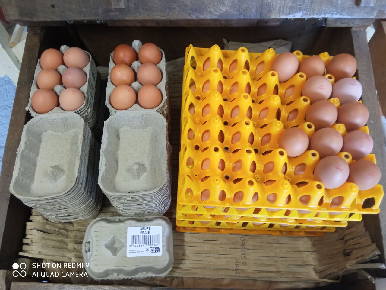 Oeufs plein air de Dégagnac