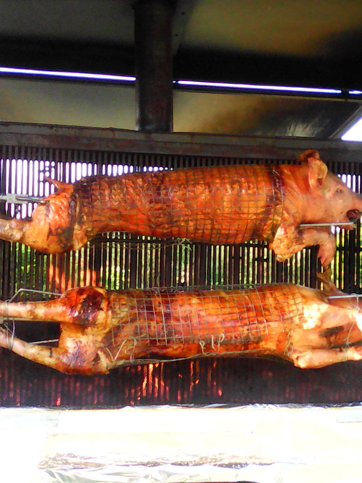 cochon de lait grillé
