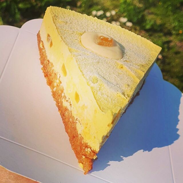 Cheesecake citron/gingembre 