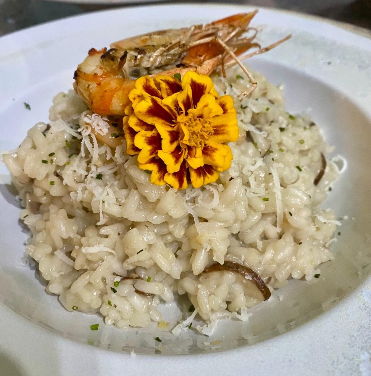 Risotto de Gambas e Cogumelos
