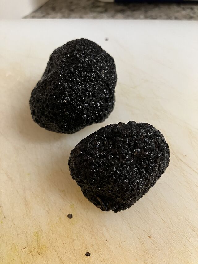 Truffes noires
