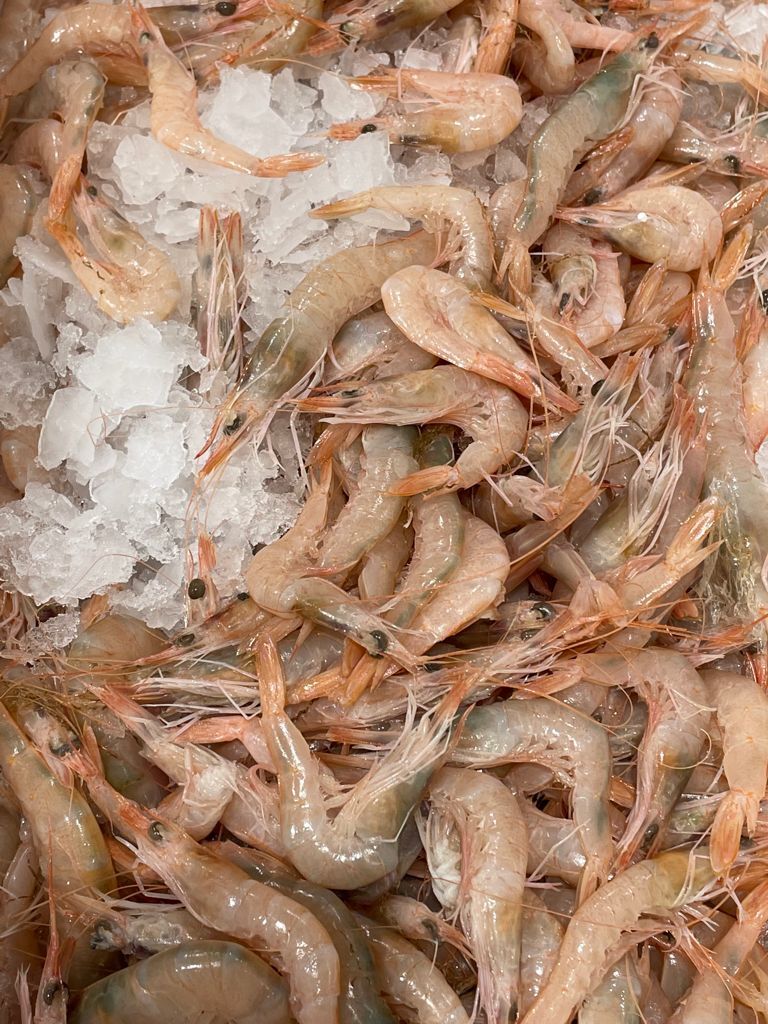 gamberi rosa o bianchi