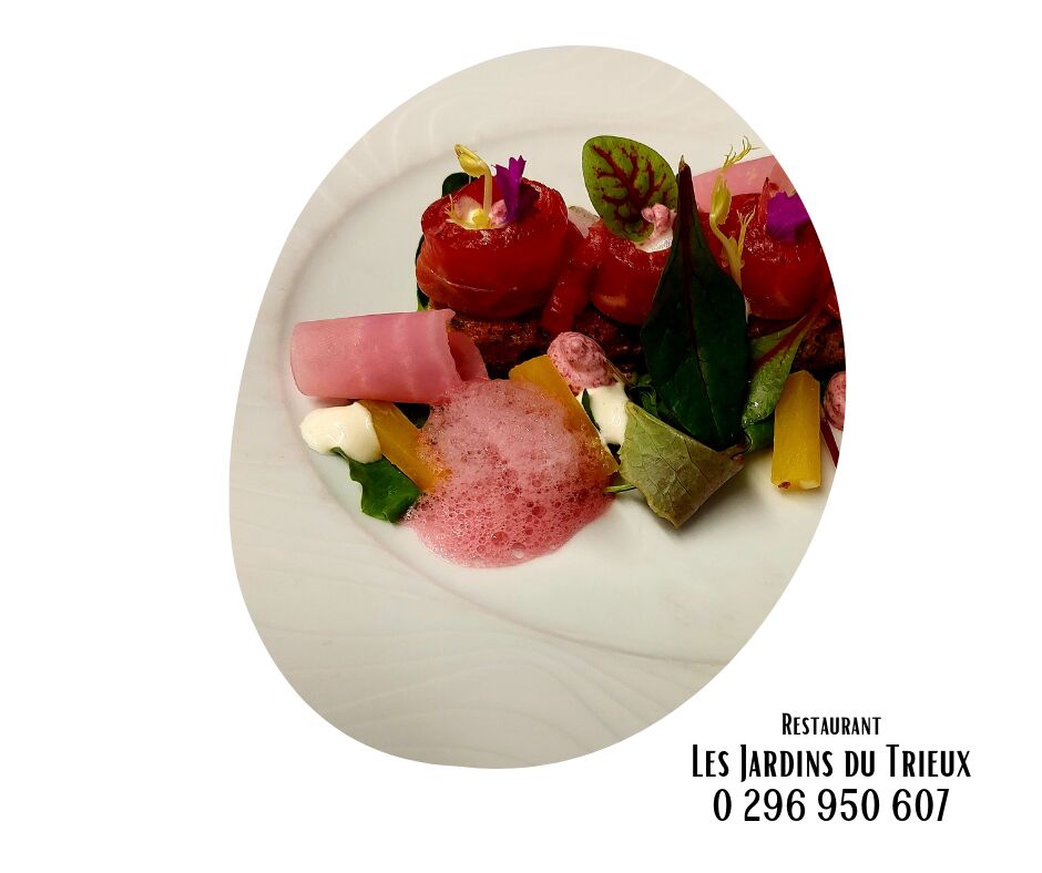 Restaurant Les Jardins du Trieux : présentation de plat bistonomique