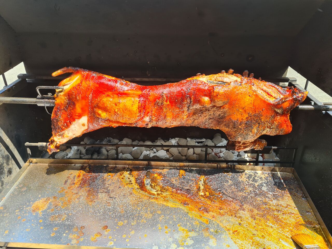 Gegrillte Spanferkel