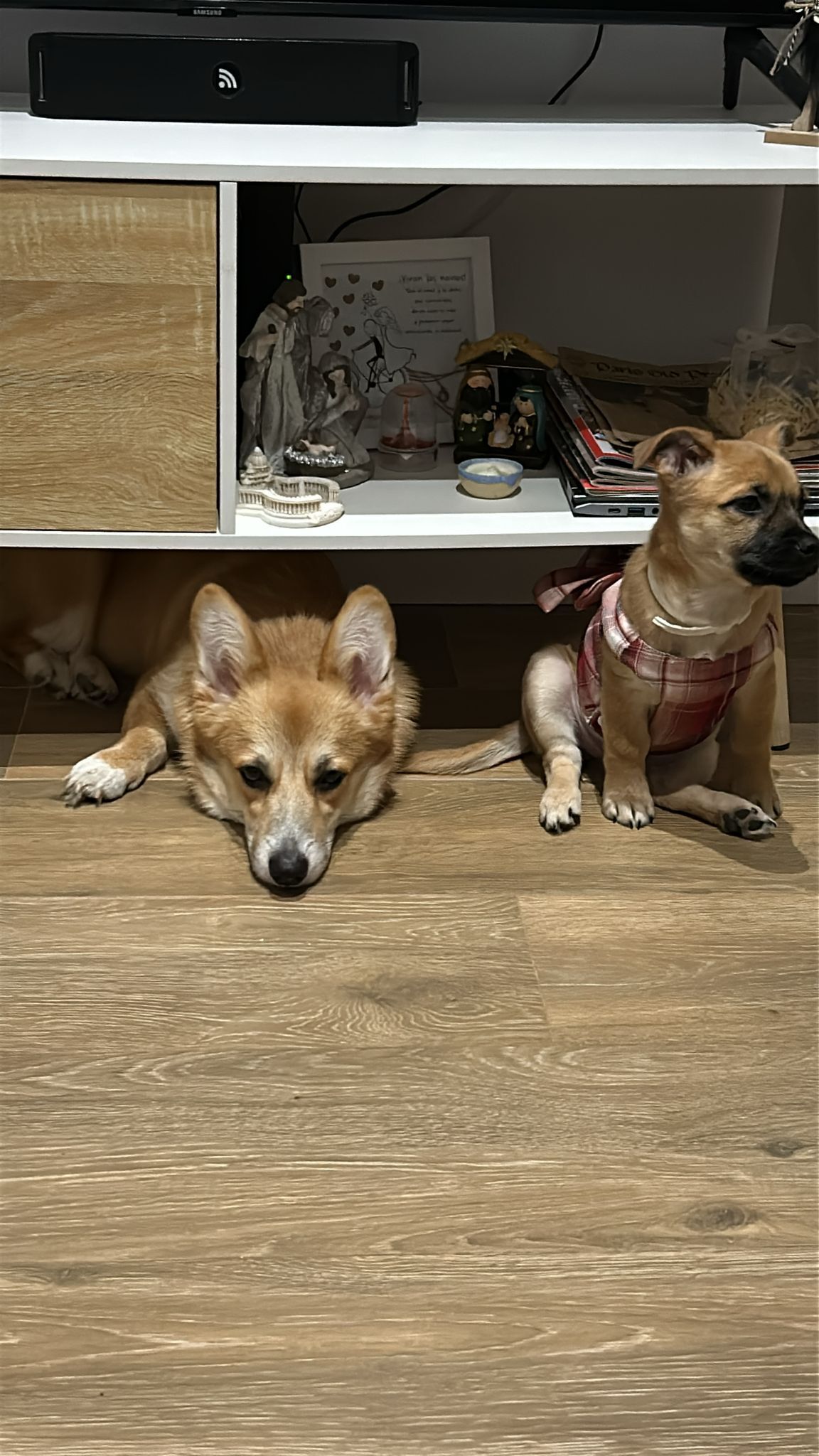 Olivia y Amélia 💕