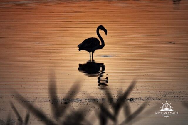 De la vie autour de la péniche 