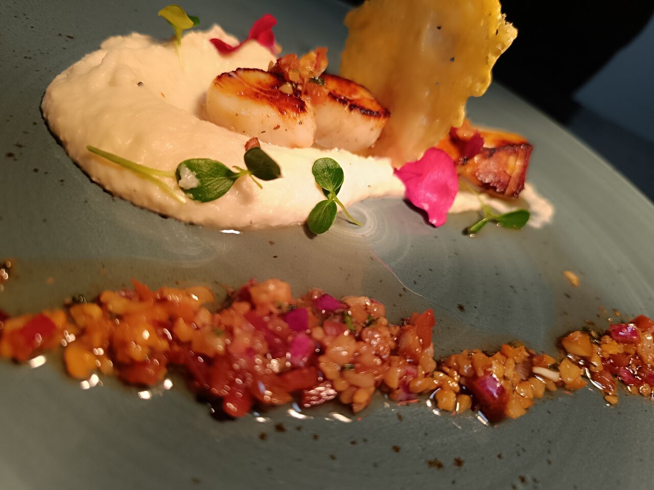 saint jacques en saison