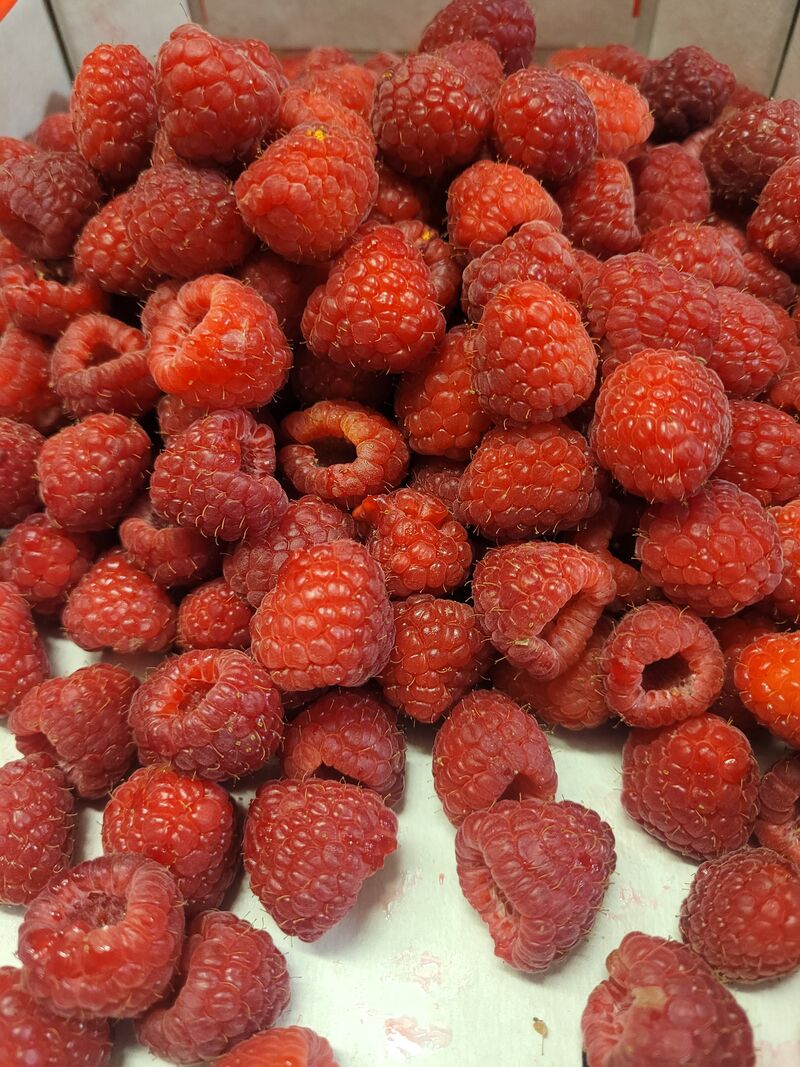 FRUITS DE SAISON ET PRODUITS FRAIS