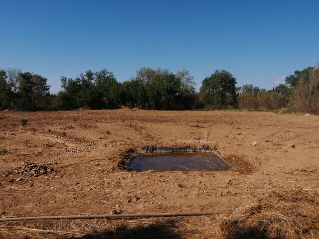 Démarrage de notre activité maraîchère
