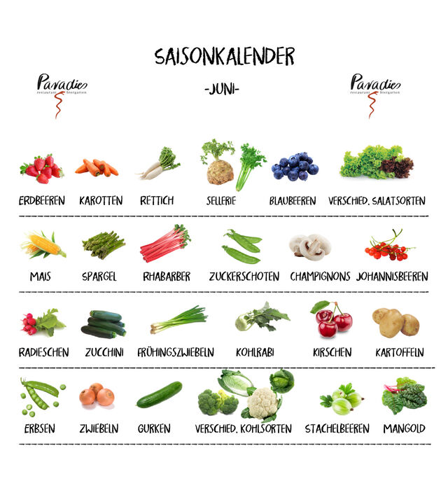Saisonkalender Juni