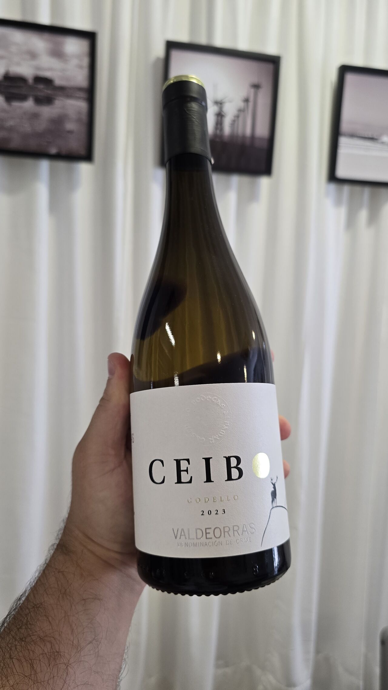 Ceibo Godello