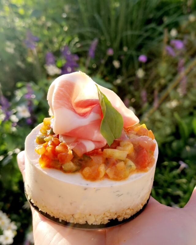 cheesecake salé 