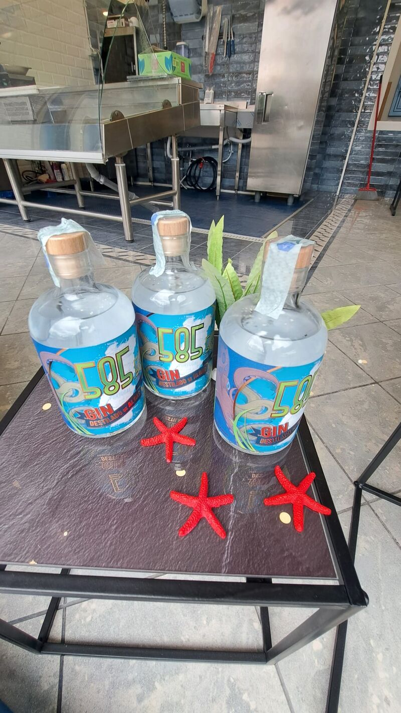 gin 585.5 con alghe di mare