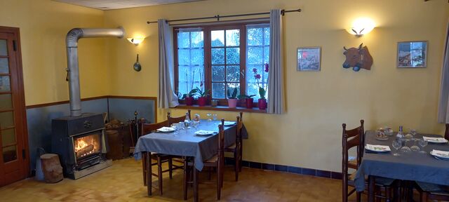 poele a bois ( Grande Salle)