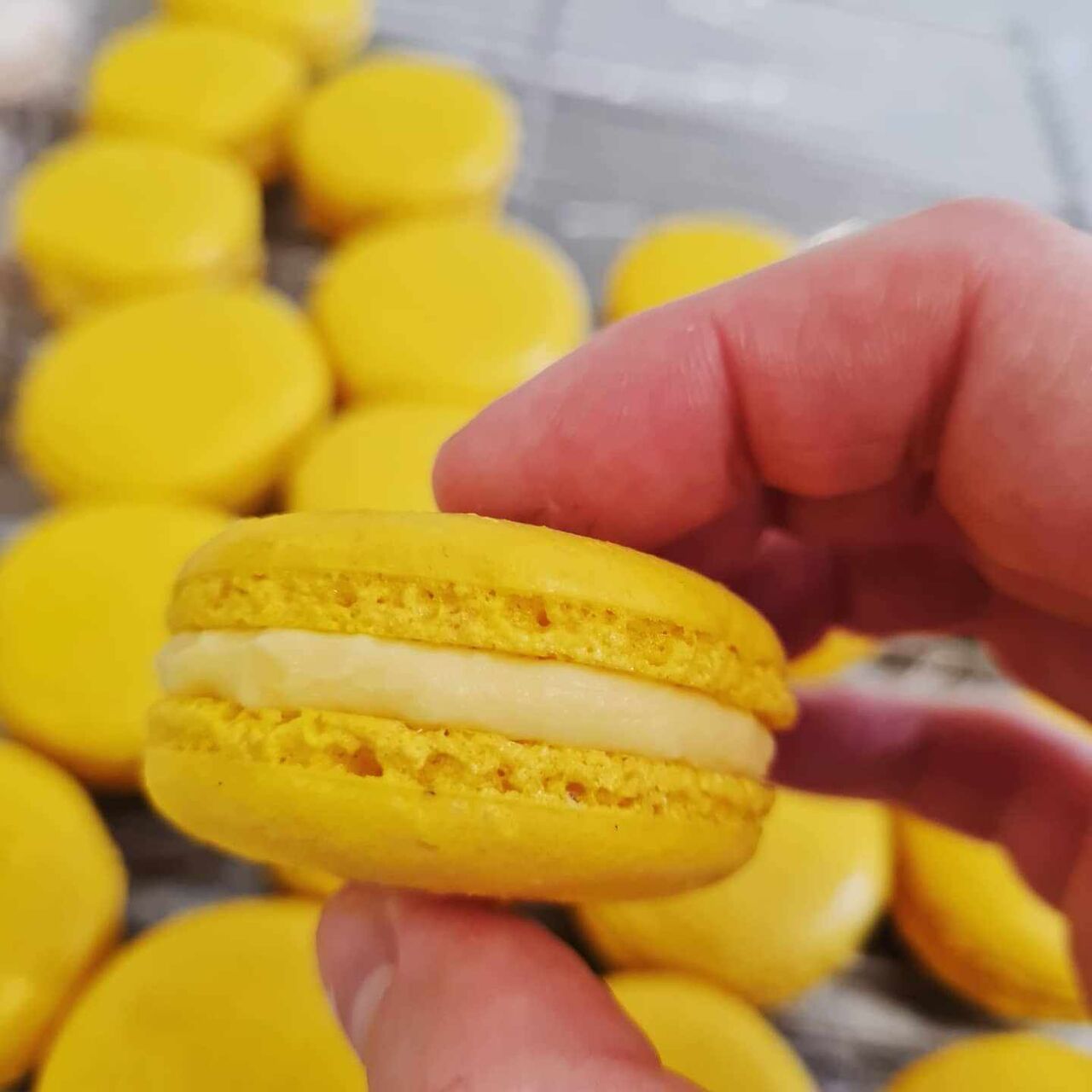 Les macarons