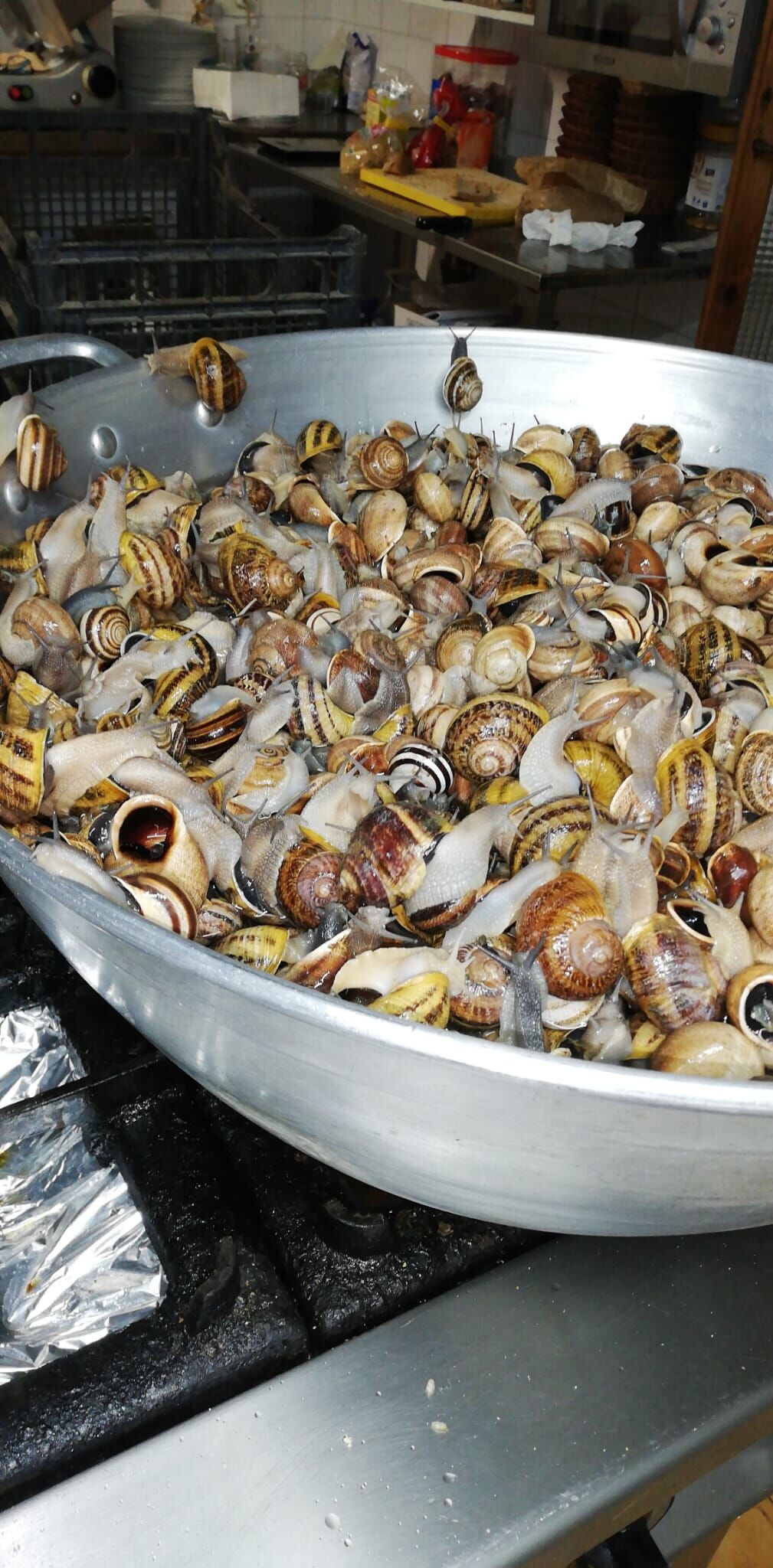 Esperam que vos agradin!