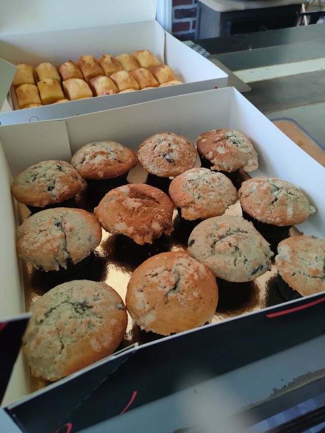 Muffin aux myrtilles