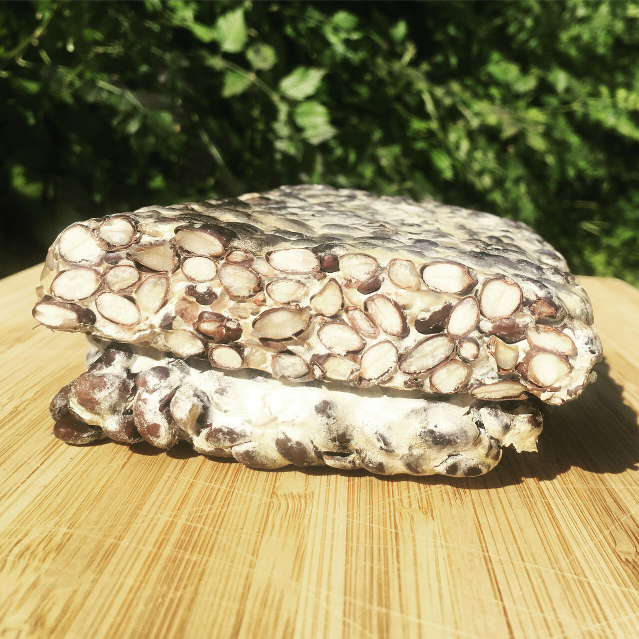 TEMPEH AUTOPRODOTTO VEGAN