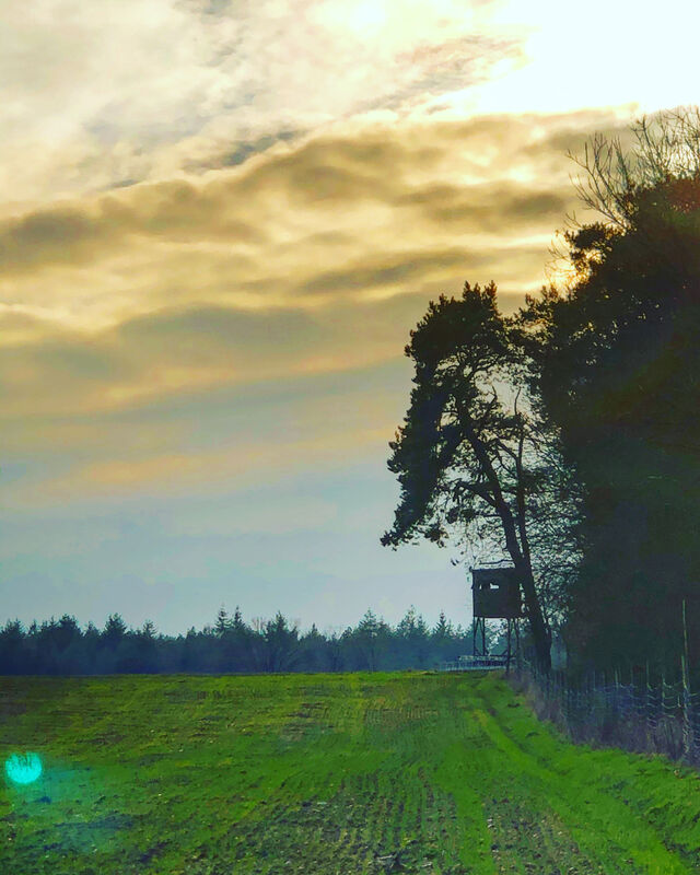 ? Pause bis 31. Januar 2o21