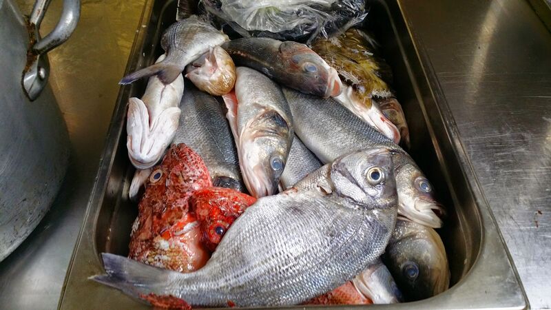 arrivage de poissons frais régulié