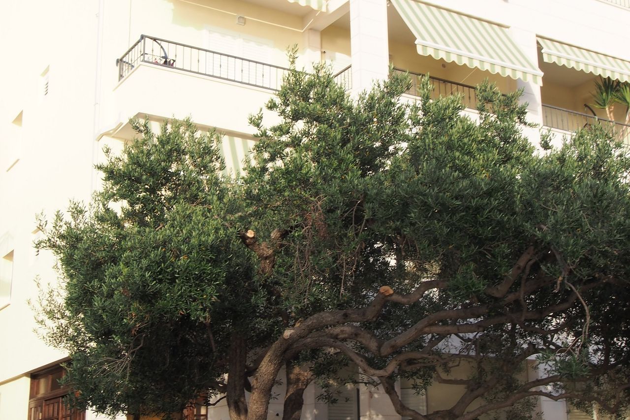 Villa Snježana Tučepi