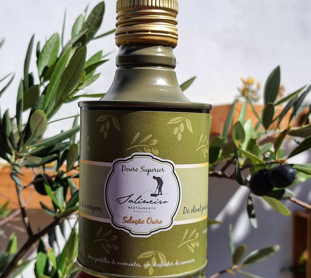 Azeite Salineiro / Douro