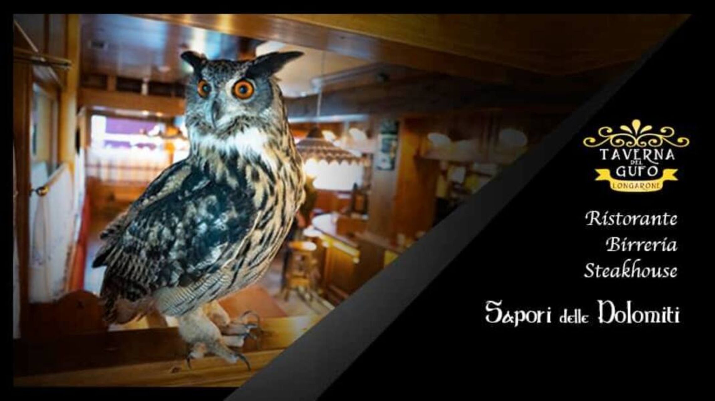 🔥LE NOSTRE PROPOSTE