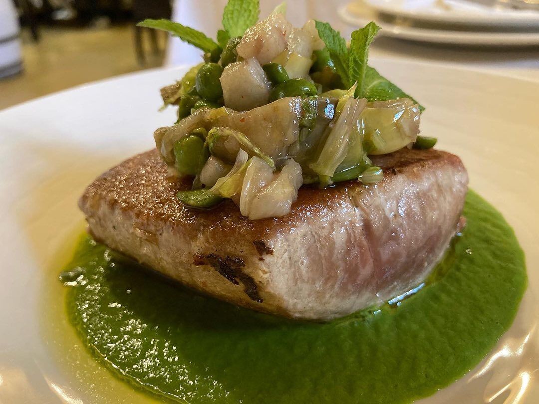 Ventresca di tonno, vignarola e crema lattughino