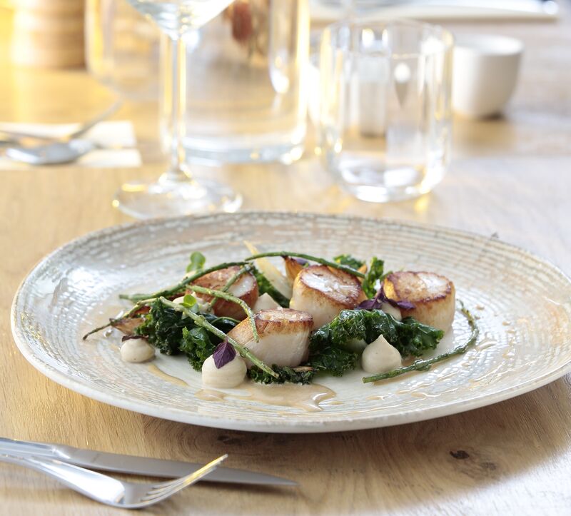 La Saint Jacques, céleri et chou kale