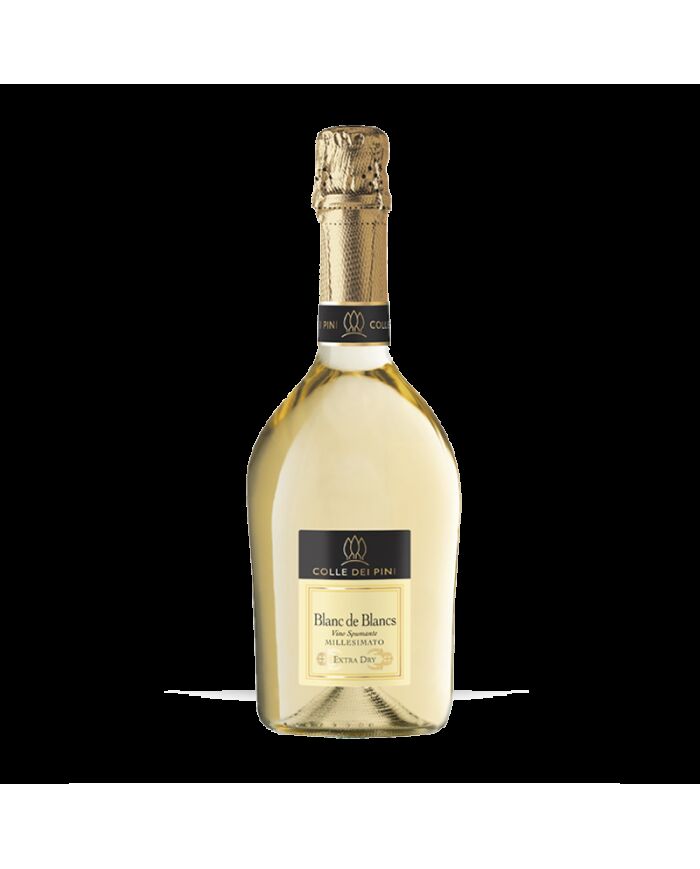 Blanc de blancs millésimé Brut