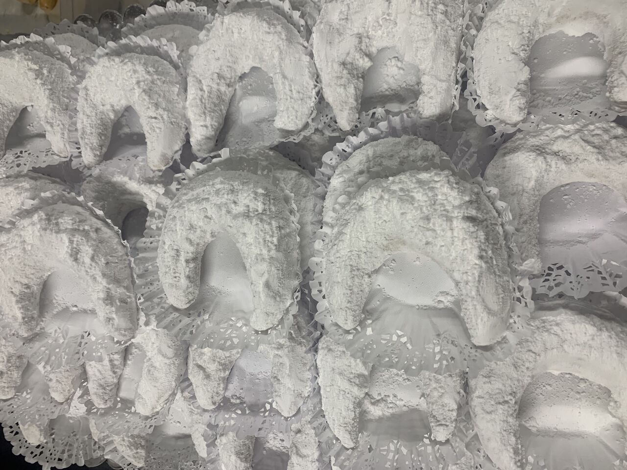 Cornes de gazelle blanche -1€/pièce 