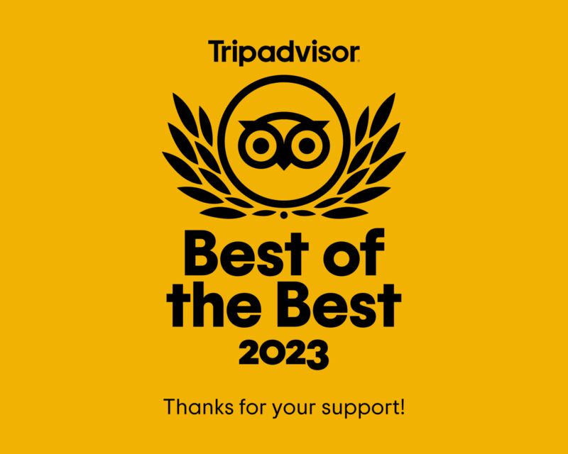 TripAdvisor 