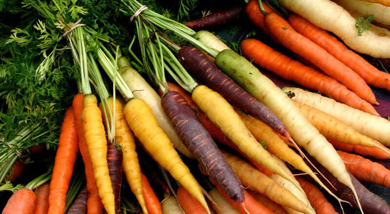 🥕 Carotte tricolore