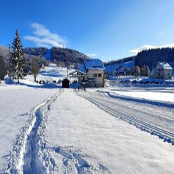 Sports d'hiver (ski nordique, de descente, raquettes...)