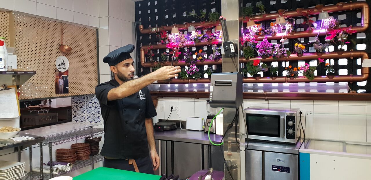 Huerto vertical en cocina de flores comestibles