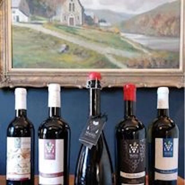 nos vins biologiques 