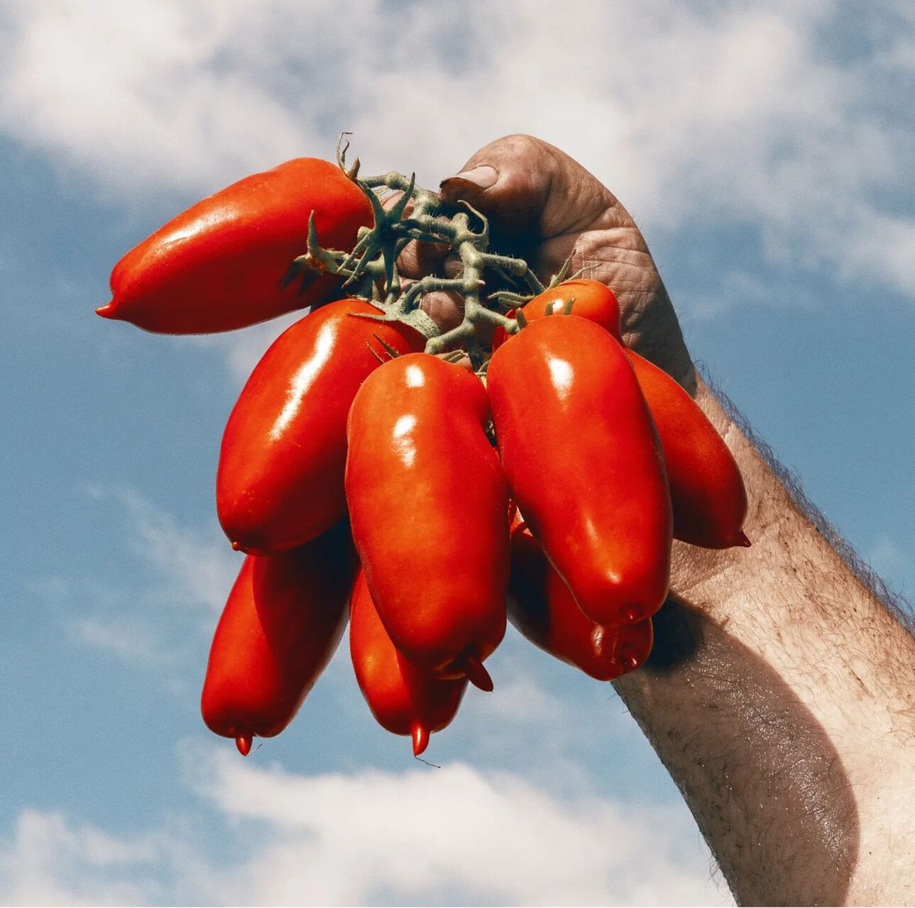 Frische Zutaten aus Italien