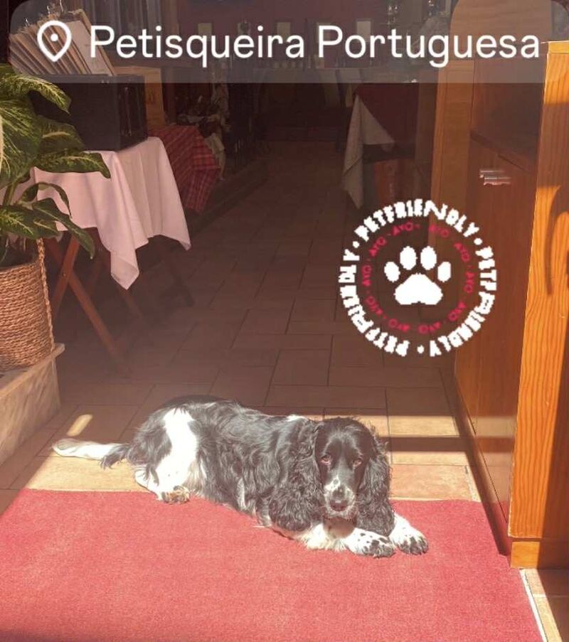 Kira a Anfitriã dos Pets ;-) 