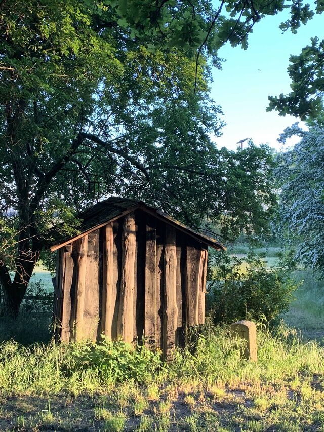 Südlicher Park - Holzhütte am ehemaligen Badeteich