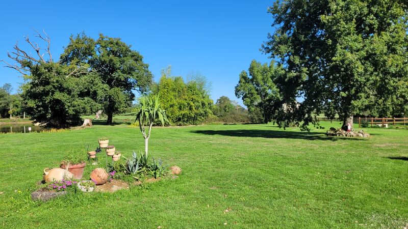 Le parc côté étang
