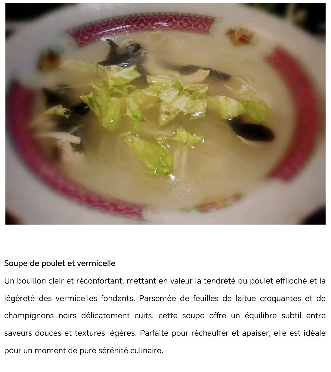 Soupe de poulet et vermicelle