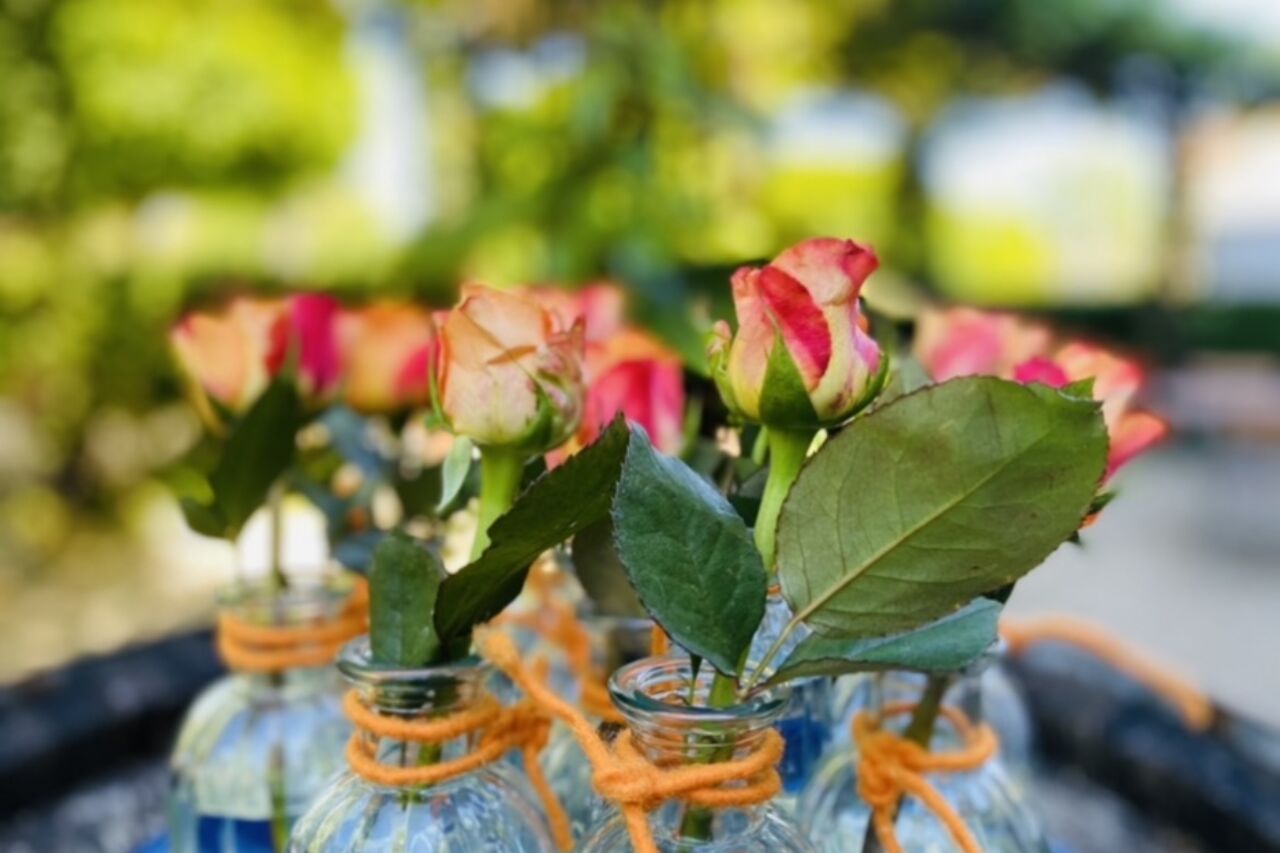 Unsere Zahlungsmöglichkeiten: