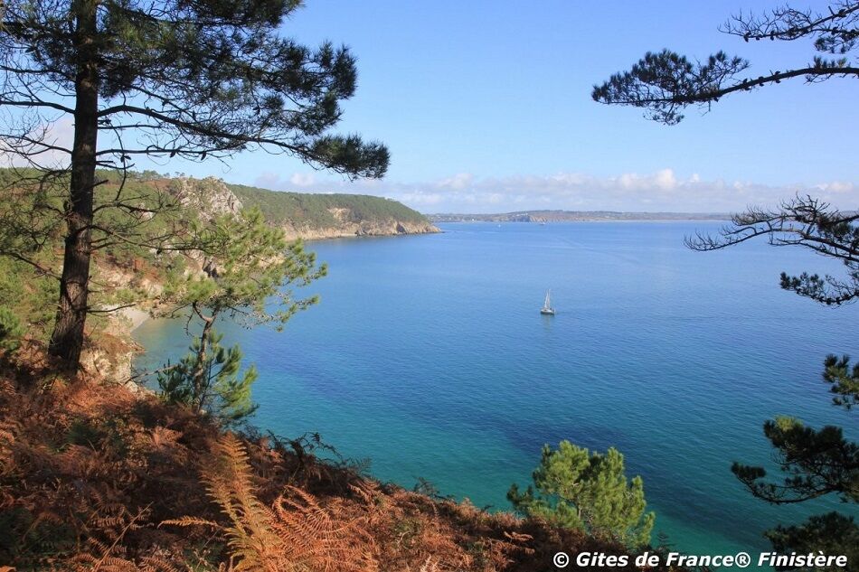 Paysage magnifique à quelques pas du gîte