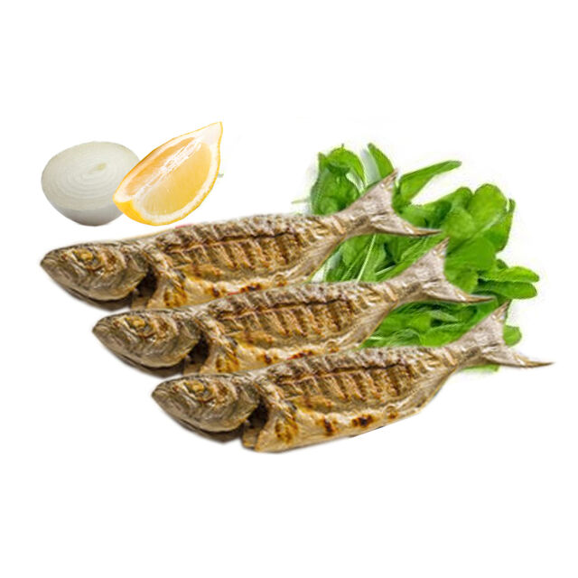 Çinekop Izgara - Medium Bluefish Grilled