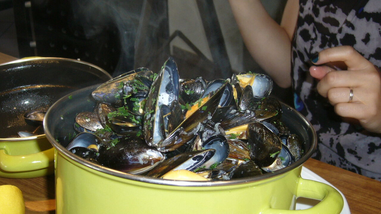 Moules de bouchot