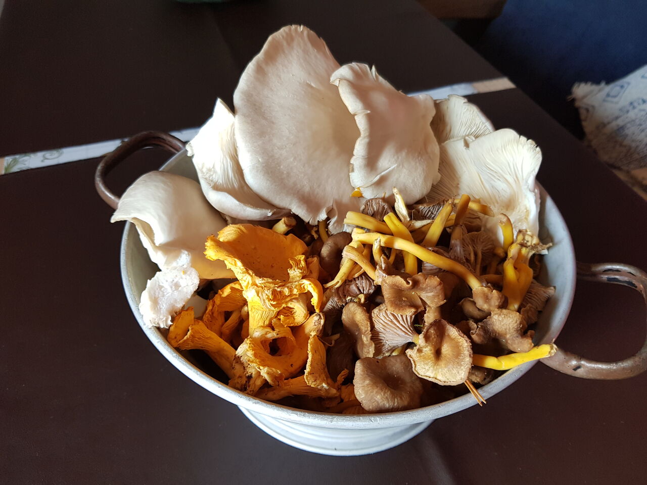 champignon des bois...