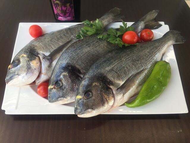 Te provoca una Dorada a la plancha