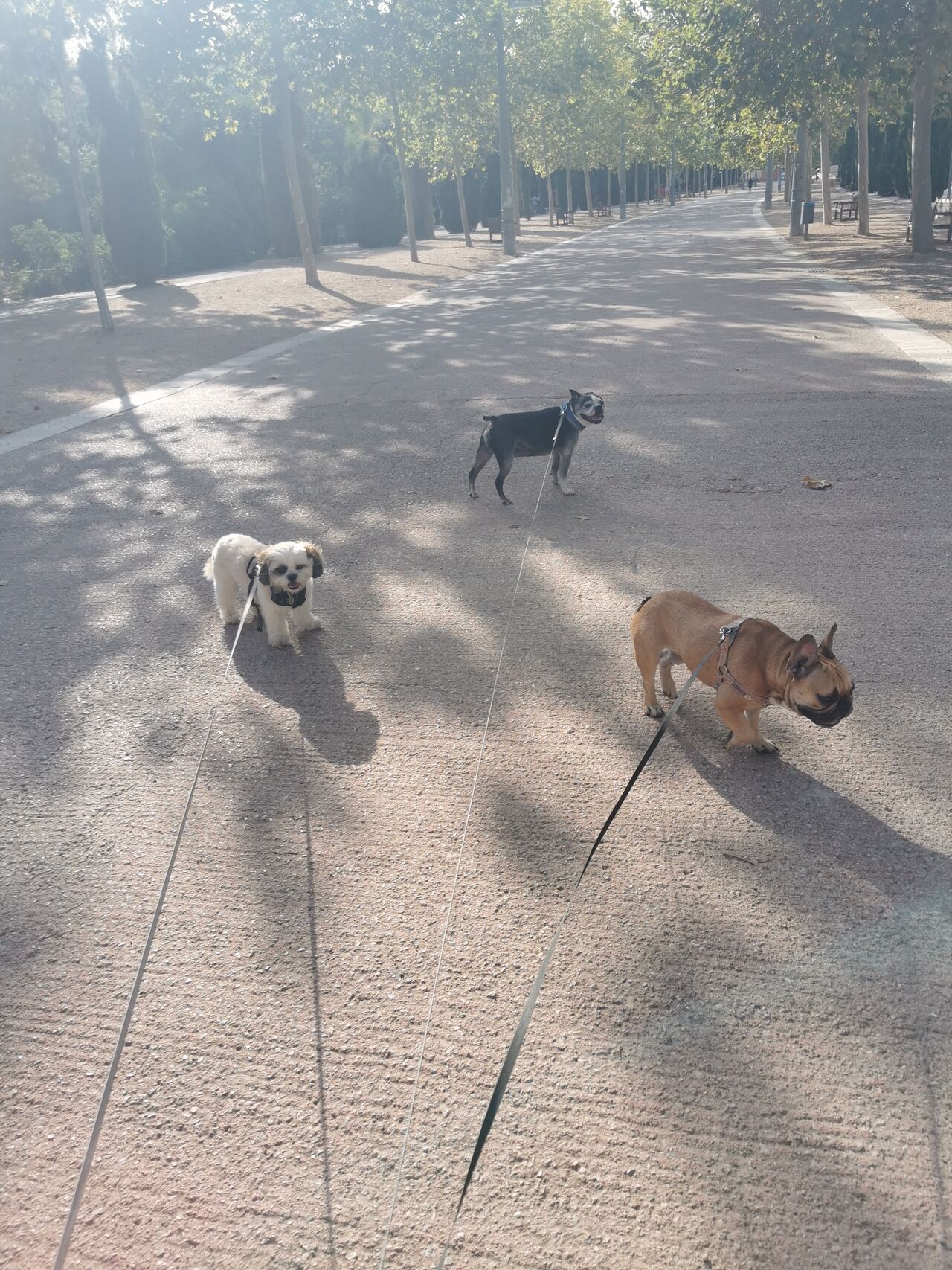 Bruno, Oliver y Richie pasándola bien 😁