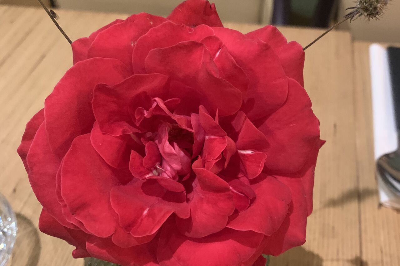 Problème « réservation complète » sur notre site, appelez-nous au 0609140715!